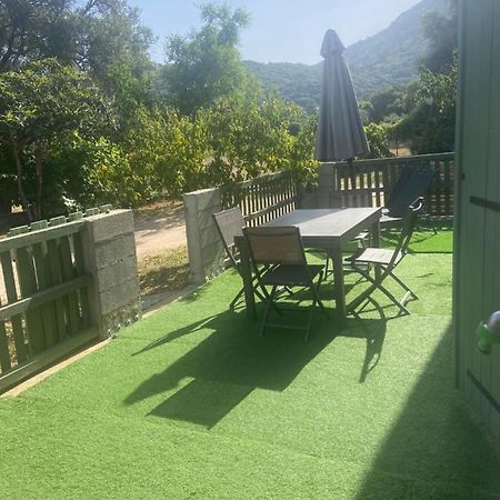 Appartement Proche Du Depart Du Gr20 كالينزانا المظهر الخارجي الصورة