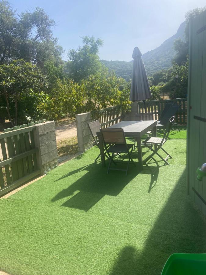 Appartement Proche Du Depart Du Gr20 كالينزانا المظهر الخارجي الصورة